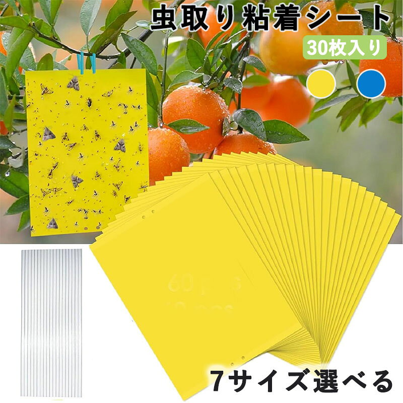 虫取り粘着シート ハエ取り紙 30枚入り イエロー ブルー 両面粘着式 防水 無毒無臭...