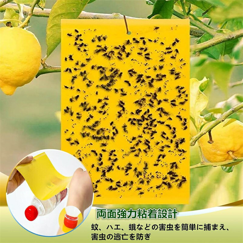 虫取り粘着シート ハエ取り紙 30枚入り イエロー ブルー 両面粘着式 防水 無毒無臭...