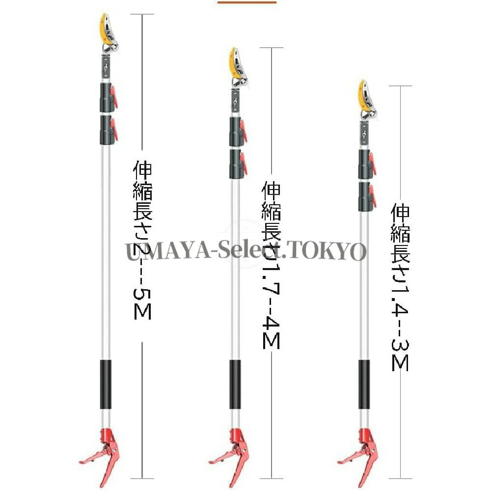 伸縮式 高枝切り鋏 強力切断 3段伸縮 3m 4m 5m 調整可能 軽量設計 太い枝も楽々 付...
