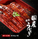 父の日 ギフト【送料無料】 唐津加工 清水 うなぎ蒲焼き 大 1尾 鰻蒲焼き 父の日 お中元 プレゼント