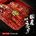 父の日 ギフト【送料無料】ギフト 唐津加工 清水 うなぎ蒲焼き 大 2尾 鰻蒲焼き 御歳暮 ギフト お中元 御歳暮 プレゼント 父の日