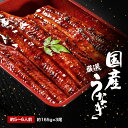 父の日 ギフト【送料無料】唐津加工 清水 うなぎ蒲焼き 大 3尾 鰻蒲焼き ギフト 父の日 プレゼント お中元 御中元