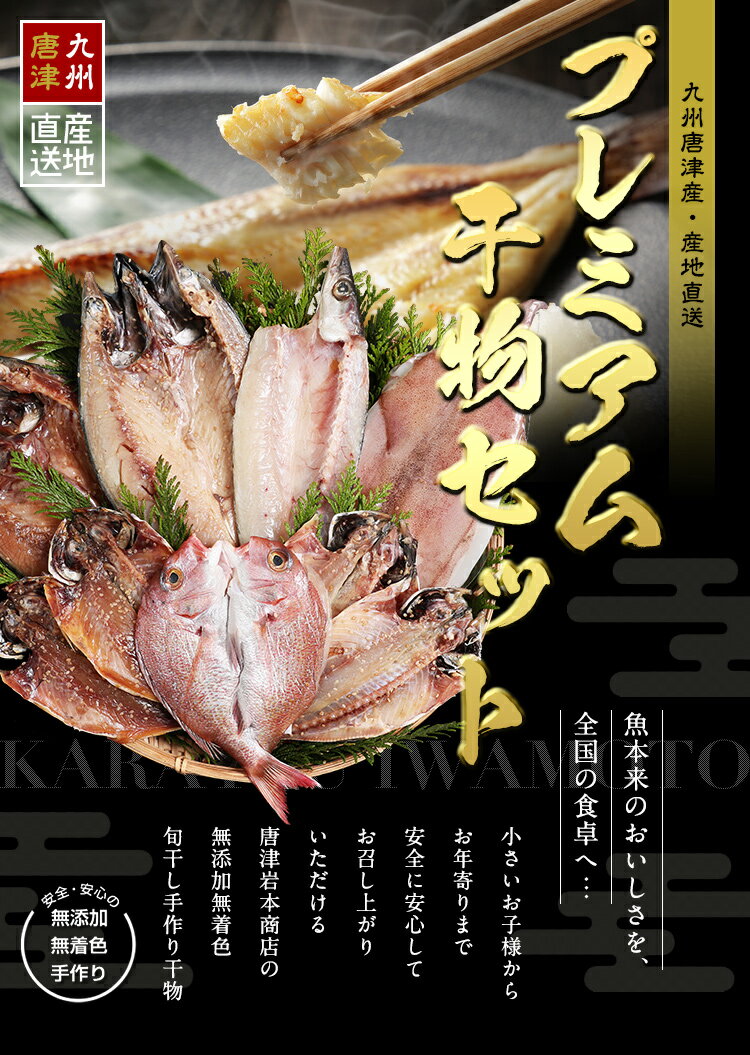 【母の日 ／ 父の日 ギフト 送料無料】【送料無料】唐津産プレミアム 極選干物セット 旬サバ(トキサバ)淡塩造り 旬サバみりん 旬アジ開き 旬アジみりん 金時鯛一夜干し(旬の白身魚干物) 呼子イカ ヤリイカ一夜干し 銀カマス一夜干し 7種9尾 健康 あす楽 プレゼント 2