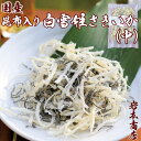 敬老の日ギフト【常温便送料無料】国産 国内加工 厳選 珍味 昆布入 白雪姫 さきいか 中袋 国産 花見 お花見 おつまみ つまみ プレゼント お歳暮 ギフト お祝い プレゼント 珍味 ギフト 珍味 健康 プレゼント 御歳暮【冷凍便同梱可】