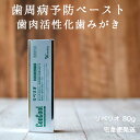 リペリオ 80g 1個 歯肉活性化歯磨き剤 歯槽膿漏専用 歯...