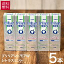 【 お買得 5本セット】 ライオン ブリリアントモア ダブル W シトラスミント 90g 5本 セット 美白 ホワイトニング 自宅 おすすめ ブリリアント モア は 研磨 剤 が市販品に比べて少ない 歯にやさしい 歯磨き粉 Brillant more w