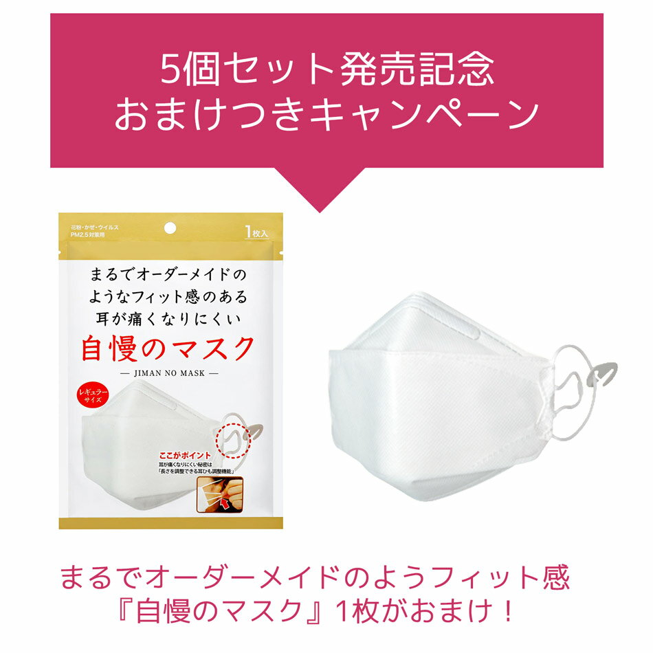 【10%OFF】【お買い得5個セット今だけ自慢のマスク1枚おまけ】 加湿器キレイ 5個 セット 加湿器 除菌 給水タンク 銀イオン 簡単 消臭 除菌 ヌメリ 防止 日本製 洗浄 洗浄剤 掃除 抗菌 除菌剤 清掃 加湿機 対策 加湿器 メール便送料無料