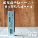 リペリオ 80g 1個 歯肉活性化歯磨き剤 歯槽膿漏専用 歯...