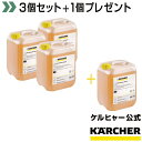 業務用床洗浄機洗浄剤 RM 753 10L 3個セット（ケルヒャー KARCHER 高圧洗浄機 業務用 高圧 洗浄機 洗浄器 オプション 洗剤 洗浄剤 多目的 RM57SAF RM57ASF)