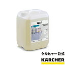 【予約製品】フロアPro 10L ワックス剥離剤 （床洗浄機用洗浄剤）