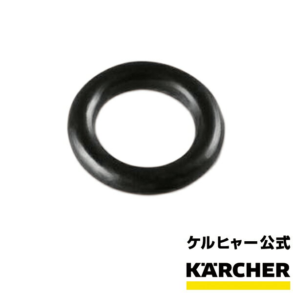 ケルヒャー 公式 KARCHER 高圧洗浄機 交換用部品 クイックタイプ 高圧ホース先端 交換用 Oリング 15個までメール便対応可能 品番：6.363-410.0 家庭用 高圧 洗浄機 部品 パーツ 洗車 掃除 清掃…