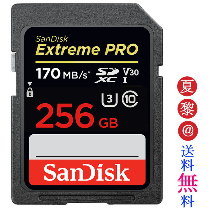 Si|Cg10{I}\聜SanDisk SDXC TfBXN Extreme Pro 256GB Class10 170MB/s UHS-1 U3 V30 GNXg[v SDXCJ[h