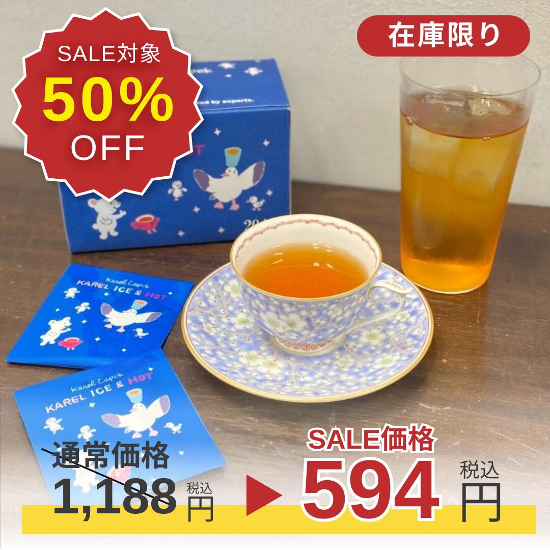 【SALE対象│50%OFF 期間1/10(金)12:00~1/15(水)23:59】 アイス＆ホット 個包装 ノンフレーバー 夏 水出し サイダー出し 夏限定 スリランカ ディンブラ ヌワラエリヤ ウバ ピュアティー ブレンドティー アイスティー ティーバッグ お手軽 人気 新登場 デイリーシリーズ20pのサムネイル