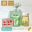 水出し紅茶スターターセット リラックスグリーン ノンカフェイン|ルイボス アイスティー ポット用ティーバッグ サイダー出し 新発売 夏 簡単 ティーバッグ 個包...