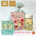 水出し紅茶スターターセット ワンダービューティー ノンカフェイン|ルイボス アイスティー ポット用ティーバッグ サイダー出し 新発売 夏 簡単 ティーバッグ か...