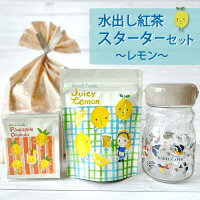 水出し紅茶スターターセット レモン │紅茶 アイスティー ポット用ティーバッグ サ...