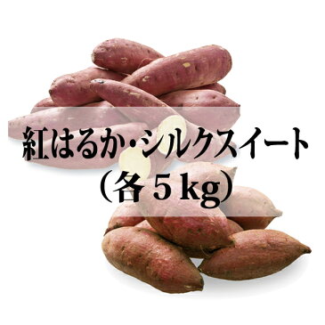 【さつまいも】【鹿児島】【紅はるか】鹿児島県産 紅はるか・シルクスイート(各5kg)【楽ギフ_のし】【楽ギフ_のし宛書】