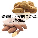 【さつまいも】【鹿児島】【安納芋】【種子島】JA種子屋久 安納紅・安納こがね(各3kg)【楽ギフ_のし】【楽ギフ_のし宛書】
