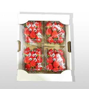 【長崎いちご】長崎県産の甘くて美味しい苺のおすすめは？