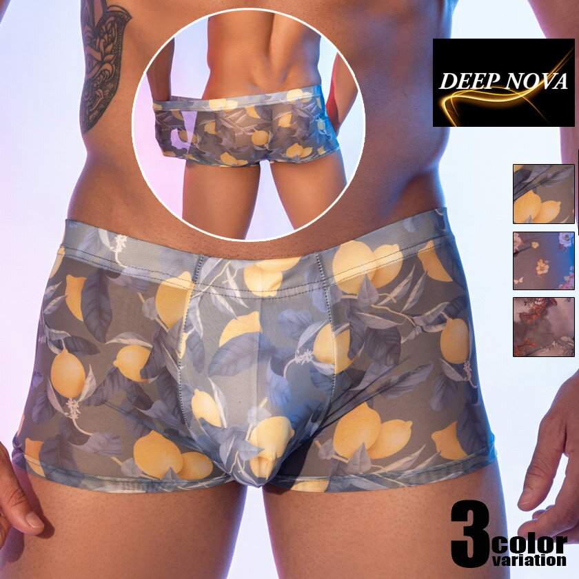メンズボクサー DEEP NOVA/ディープノバ 超薄 通気性抜群 立体縫製 ボクサー ボクサーパンツ 男性下着 メンズ スケスケ 涼しい 高伸縮 薄い