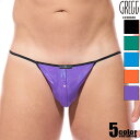 メンズTバック GreggHomme/グレッグ・オム BOYTOY VOLTZ STRING GストリングTバック 薄手メンズTバック 男性下着 メンズ パンツ...