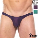 メンズビキニ ブリーフ 【GreggHomme/グレッグ・オム】TORRID/トリッド シースルー フロントもっこり フルバックブリーフ