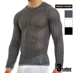 ModusVivendi/ ӥ٥ǥ Hole Longsleeves Ĺµ 롼ͥåԤ ܥå ȥ TġĹµ󥺡եå󡡥ȥåץ