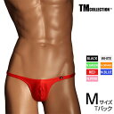 MTCY TM Collection WET sexy v-cut TB Y TobN  pc A_[EFAyTMRNVz ZNV[ YTobN