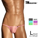 Lサイズ メンズビキニ TMコレクション Clearskin ハイレグハギナシシャープ HB メンズ ビキニ ブリーフ 下着 パンツ アンダーウェア TM Co...
