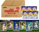 カルビー 2025 プロ野球チップス スペシャルボックス 第1弾 360g(カード80枚付き)