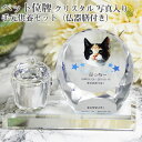 【ペット位牌】【オーダーメイド・ペット位牌・クリスタル位牌】【ペット仏器・ペットメモリアル】【ペット供養】メモリアルクリスタル シェル PHOT用 手元供養セッ...