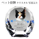 【ペット位牌】【オーダーメイド・ペット位牌・クリスタル位牌】【ペット仏器・ペットメモリアル】【ペット供養】メモリアルクリスタル シェル PHOT用【送料無料・名...