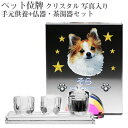 【ペット位牌】【オーダーメイド・ペット位牌・クリスタル位牌】【ペット仏器・ペットメモリアル】【ペット供養】メモリアルクリスタル オブロング PHOT用 手元供養...