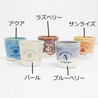 名入れカップ信楽焼綾カップカジュアル
