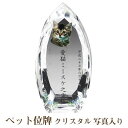 【ペット位牌】【オーダーメイド・ペット位牌・クリスタル位牌】【ペット仏器・ペットメモリアル】【ペット供養】メモリアルクリスタル コーン クリア PHOT用【送料...