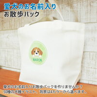 大容量 愛犬のお散歩用に 実用的で洗えるバック 予算5 000円 のおすすめプレゼントランキング Ocruyo オクルヨ 大容量 愛犬のお散歩用に 実用的で洗えるバック 予算5 000円 のおすすめプレゼントランキング Ocruyo オクルヨ