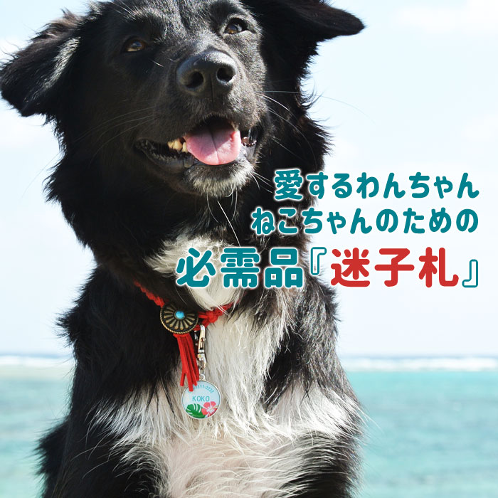 迷子札 デザイン100種 オーダーメイド 名入れ ドックタグ ネームタグ愛犬 愛猫 わ...