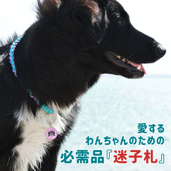 迷子札 犬種イラスト50種 オーダーメイド 名入れ ドックタグ ネームタグ愛犬 わん...