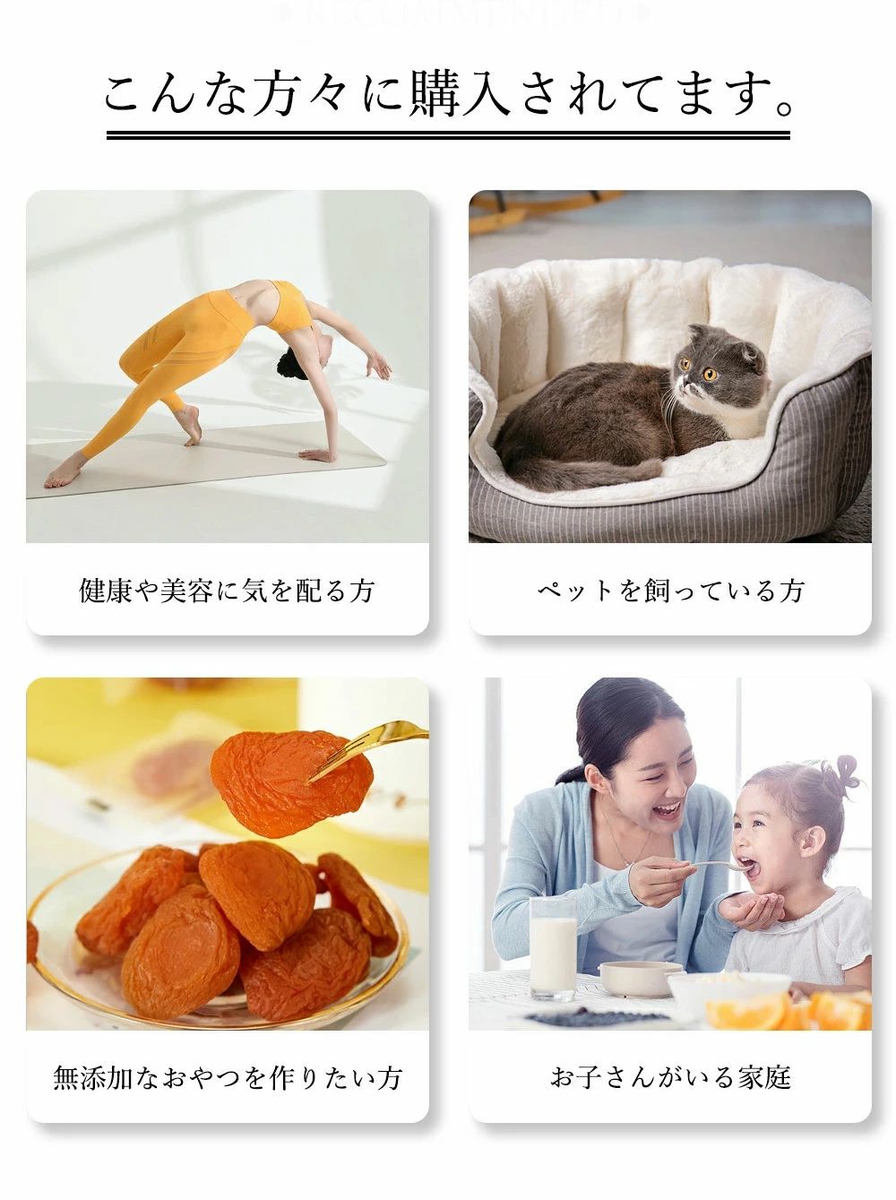 ドライフードメーカー 野菜乾燥機 家庭用 食品乾燥機 ジャーキー ドライフルーツ コンパク ペット ステンレス製 電気食品脱水機 乾燥 アイシングクッキー 業務用 果物 肉 ビーフジャーキー 無添加おやつ ドライフルーツ - 2