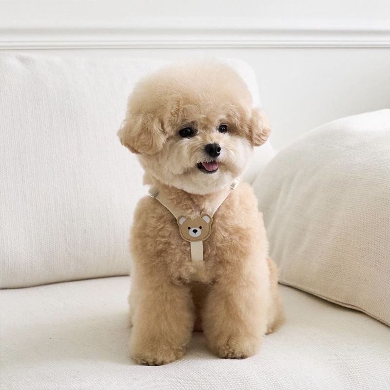 犬用 ハーネス 犬 リード セット 胴輪 くま柄 Y字 お揃い おしゃれ かわいい 抜け...
