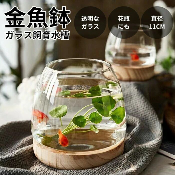 おしゃれ 金魚 メダカ 水槽 室内 容器 鉢 ミニ水槽 ガラス金魚鉢 小さな水槽 金魚水槽 小さな丸い透明なガラス花瓶 木製ベース付き デスクトップ水槽 観賞植物ホルダー 水耕植物花瓶 おしゃれ 小シンク かわいい ガラス 室内花瓶 卓上金魚鉢 家庭用