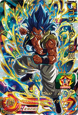 pums13-23.jpg