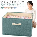 折りたたみ 収納 収納箱 コミック収納 衣類収納 ファブリックボックス 蓋つき 積み重ね 2個セット クローゼット収納 フタ付き 押し入れ収納 小物 布製 収納ボックス 収納ケース 整理ボックス おもちゃ箱 衣装ケース 大容量 本 ストレージボックス