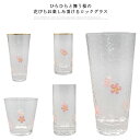 和風 透明 ウイスキー 300ml クリア 260ml グラス ロックグラス ゴールドライン オンザロック ショートドリンク さくら コップ 桜 ソフトドリンク...