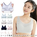 冬 体育 夏 ハーフ ダンス ファーストブラ ジュニアブラ 女子 スポーツブラ 小学生 春 スポブラ 体操 揺れない メッシュ ジュニア 高校生 キッズ 肌着 ...