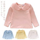 長袖 カットソー 無地 シンプル 送料無料 大きな襟 おしゃれ 子供服 キッズ 女の子 レース シャツ ベビー 可愛い フリル ラッフルカフス 赤ちゃん ス
