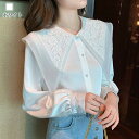 シフォン レース 事務服 スーツ 高品質 カットソー 秋 フォーマル ノーアイロン 50代 春 カジュアル オフィス 安い BIG襟ブラウス シャツ ブラウス ...