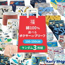 Karly Shop ブリーフ ボクサー パンツ 男の子 ボーイズ 子供 綿 福袋 3枚セット おまかせ かわいい 車 乗物 動物 恐竜 虫 プリント 下着 b001の商品画像