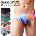 ボクサーパンツ メンズ ビキニショーツ セクシー ツルツル メッシュ 立体縫製 速乾 通気 ローライズ シンプル 柄物 個性的 豹 大きいサイズ M-3L 黒 ...