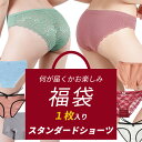 レディース ショーツ スタンダード プチプラ 安い インナー おまかせ福袋 1枚 お得 お買い得 まとめ買い 下着 ポイント消化 パンツ f-005
